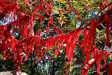 Steam新游戏录制功能现已向所有人开放