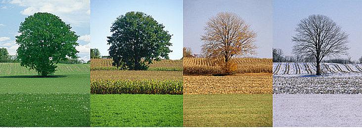 《恐龙浩劫》Steam页面上线 预计2023年发售