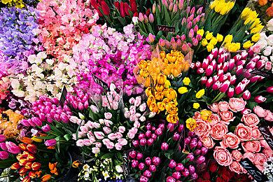 《丽露娅与夏夏的纯白谎言》登陆PC 温馨恋爱冒险