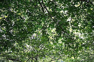 《永劫无间》与电商平台合作 已下架多家外挂售卖店铺